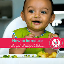 8 Months Baby Food Chart With A Guide To Finger Foods My