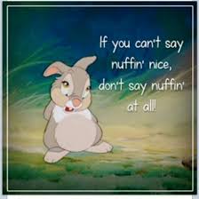 If You Have Nothing Nice To Say Dont Say Nothing Disney Quotes Cute Quotes Movie Quotes