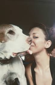 Lost Dog FreedaMei in Tucson, Arizona