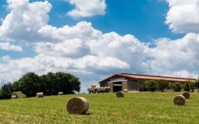 Check spelling or type a new query. Immobilien Landlords Agrar Immobilien