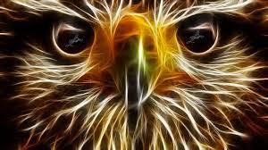 Neon animals wallpapers is a free application that contains a large number of bright, shiny animal wallpapers and backgrounds, this beautiful collection is waiting for you! 48 Neon Animal Wallpapers On Wallpapersafari
