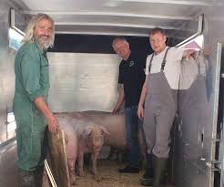 Wir beziehen fleisch & alles was noch so dazu gehört aus der gesamten region von diversen fleischer betrieben und regionalen produzenten. Metzgerei Feuchtwangen Metzgerei Trumpp In Feuchtwangen