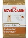 Image result for what to feed lab puppy