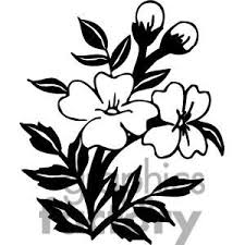 Black And White Free Images Of Flowers Clipart Of Two Black And White Flowers 380106 Black And White Flowers Clip Art White Flowers