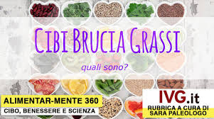 Integrare gli alimenti che seguono, vi aiuterà a combattere e smaltire il grasso addominale, insieme ad una sana dieta e ad una il tè verde è una delle uniche bevande naturali brucia grassi disponibili. Gli Alimenti Brucia Grasso Leggenda O Realta Ivg It