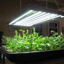 Shop the online lighting and bulbs experts now! Mythbusting Do You Really Need Grow Lights Horticulture