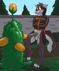 Macchiato Coyote Porn - Rule 34
