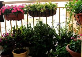 Dubai Garden Centre Best Balcony Competition Garden Soil Dubai Garden Palm Beach Gardens