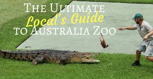 We did not find results for: The Ultimate Local S Guide To Australia Zoo Near Brisbane Pretraveller