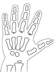 Coloring options also include micas. Https Www Biologycorner Com Anatomy Skeletal Aging Hand Coloring Pdf