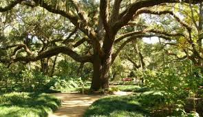 Washington Oaks Gardens State Park St Augustine Florida State Parks Florida State Parks Florida Gardening