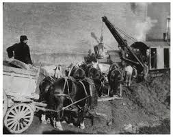 Image result for Rogiera cordata