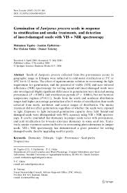 Image result for Euclasta condylotricha