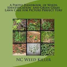 Do not confuse 12 lb pls/acre with 12 bulk lb/acre. A Photo Handbook Of Weeds Identification And Green Grass Lawn Care For Picture Perfect Turf Nc Weed Killer Nc Weed Killer 9781500312480 Amazon Com Books