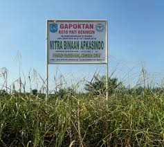 Adalah mewujudkan kehidupan petani dan masyarakat di lingkungannya sekitar yang penuh keselamatan, kedamaian dan kesejahteraan. Perseteruan Lahan Pt Arara Abadi Dengan Gapoktan Kembali Terjadi