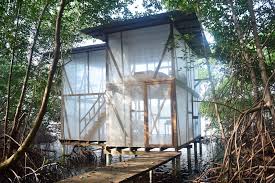 The Mangrove Treehouse Transparent And Breezy Tree House Holiday Home Container House