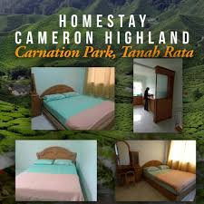 Tripadvisor has 37,680 reviews of cameron highlands hotels, attractions, and restaurants making it your best cameron highlands tourism resource. Homestay Cameron Highland Murah Property Rentals On Carousell