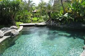 Swimming Pools That Look Like Ponds House Exterior Kitchen Massage Room Pond Pond And Garden Pool Backyard Pool Waterfalls Backyard Dream Pools