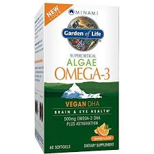 Garden Of Life Vegan Dha Supplement Minami Algae Omega 3 Natural Eye And Brain Function Supplement 60 Astaxanthin Fish Oils Supplements Omega 3 Supplements