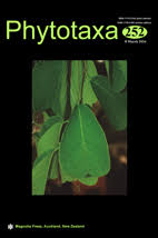 Image result for Syzygium komatiense