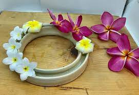 Plumie Rings Custom Made Pottery Pottery Round Vase Candle Jars