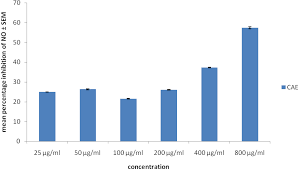 Image result for Cissus aralioides