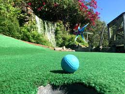 Celebrate birthdays with golf & games! Safari Golf Games
