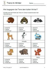 53 vorlagen und muster sowie tipps und informationen für das bewerbungsdeckblatt ✅. 16 Tiere Im Winter Ideen Tiere Winter Sachunterricht Grundschule