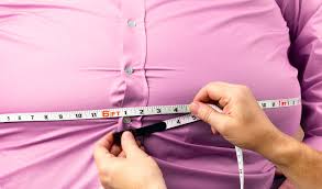 Image result for Obesity