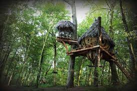 Maybe you would like to learn more about one of these? Abane Constructeur De Cabane Dans Les Arbres