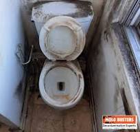 Ultimate Guide to Toilet Mold: Causes, Removal, and Prevention