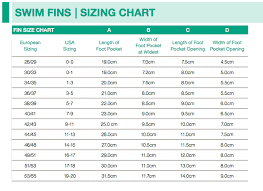 Eyeline Short Training Swim Fin Divewarehouse
