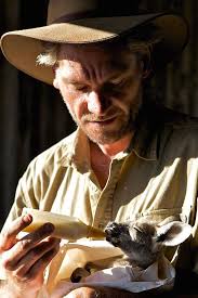 Meet Brolga Surrogate Mom To Orphaned Baby Kangaroos In Australia Surrogate Mom Kangaroo Australian Wildlife