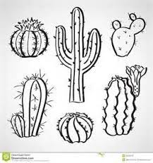 line drawing of cactus bing images cactus drawing cactus illustration cactus art