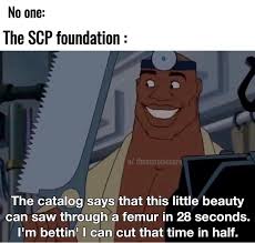 The Scp Foundation Stupid Memes Stupid Funny Memes Funny Memes About Girls