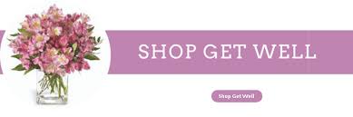 Learn more about florists in charlottesville on the knot. The Flower Shop Charlottesville Florist Flowers To Charlottesville Va