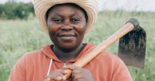 St. David's Fall Produce CSA