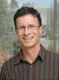 Veterinary prof to lead wild sheep research endowment