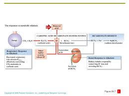 Ppt Acid Base Balance Powerpoint Presentation Free Download Id 2821926