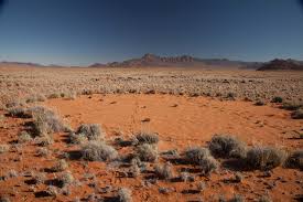 Get all the latest news and updates on namibian desert only on news18.com. Mysterious Fairy Circles In Namibian Desert Explained At Last New Scientist