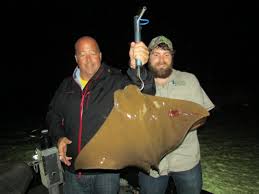 More information on party boat fishing or private fishing trips. Fish Kabob Bowfishing Coastal Alabama S Only Air Driven Charter
