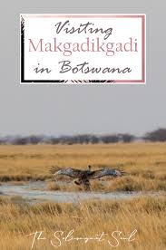 Makgadikgadi Salt Pans In Nata Botswana Solivagant Soul In 2020 Africa Vacation Africa Day Botswana