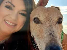 Fundraiser by Anna Clements : Valora al Galgo