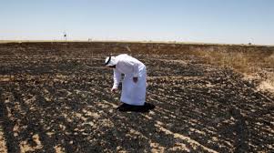 It contains only the finest natural and organic ingredients including: After Years Of War Drought Iraq S Bumper Crop Is Burning Asharq Al Awsat