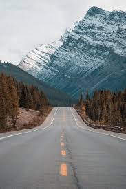 A Tree Lined Mountain Road With Snowcapped Mountains In The Background Road Trip Fun European Road Trip Mountain Pictures