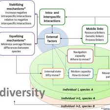 Check local electrical codes before installation. Pdf Integrating Movement Ecology With Biodiversity Research Exploring New Avenues To Address Spatiotemporal Biodiversity Dynamics