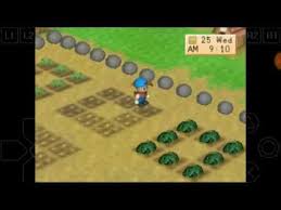 Game Harvest Moon Back To Nature Power Berry From Spring Goddess Harvestmoon Game Backtonature Psx Psone Pla Harvest Moon Game Harvest Moon Harvest