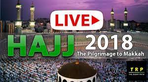404 page not found live hd pilgrimage streaming