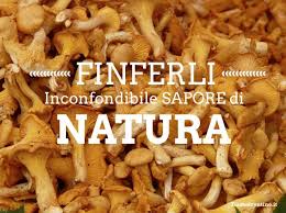 Anche in questo caso sarebbe meglio trito di prezzemolo (in alternativa il coriandolo fresco è un'ottima variante) e il pepe. Finferli Dove Quando E Come Raccoglierli E Come Cucinarli