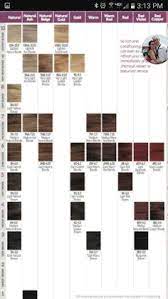 Maybe you would like to learn more about one of these? Image Result For Ion Color Brilliance Color Chart Hair In 2019 Hair Chart Ion Hair Color Chart Hair Dye Colors